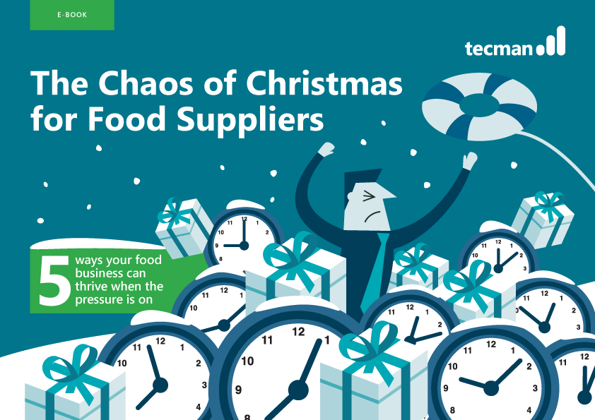 the chaos of christmas brochure thumbnail